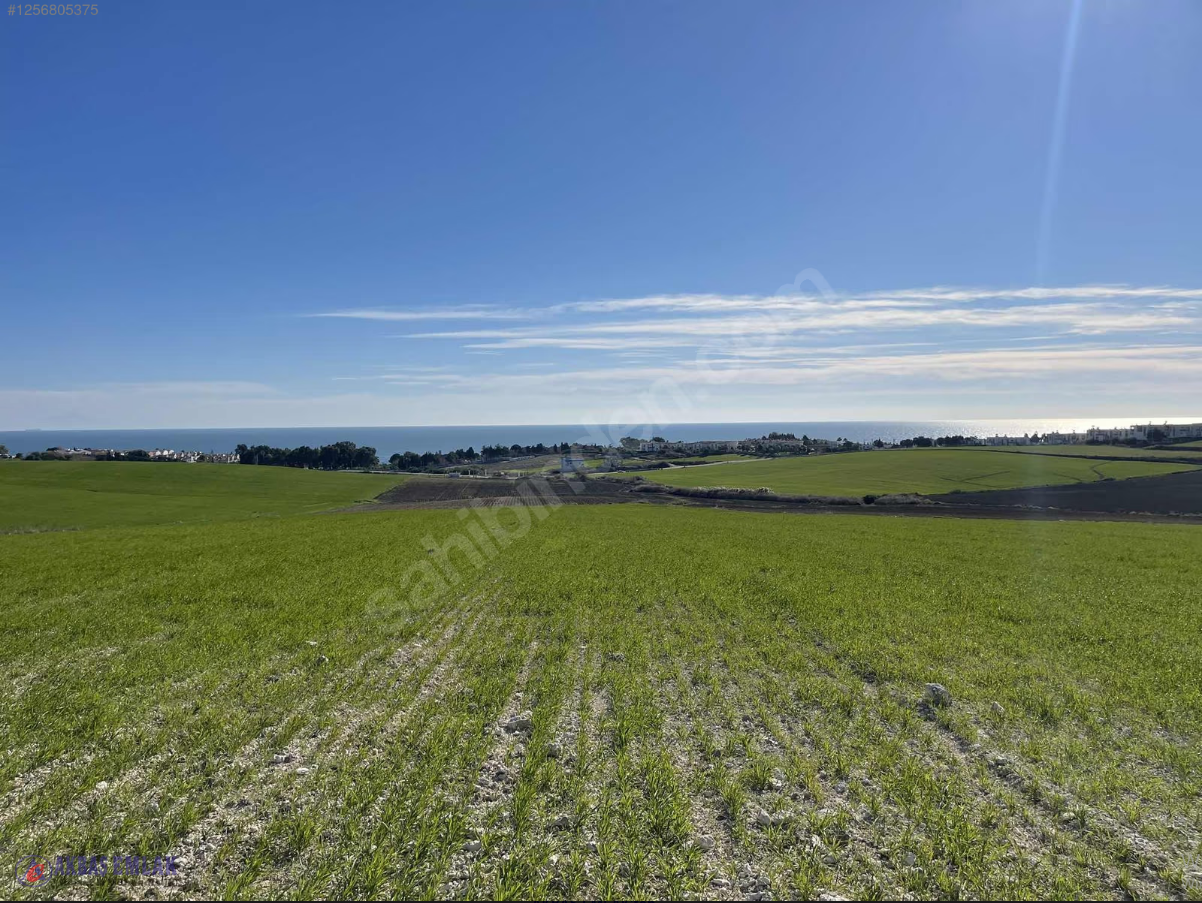 AKBAŞ'tan SATILIK | 8 KATA İMARLI | YATIRIMLIK | PARSELLER