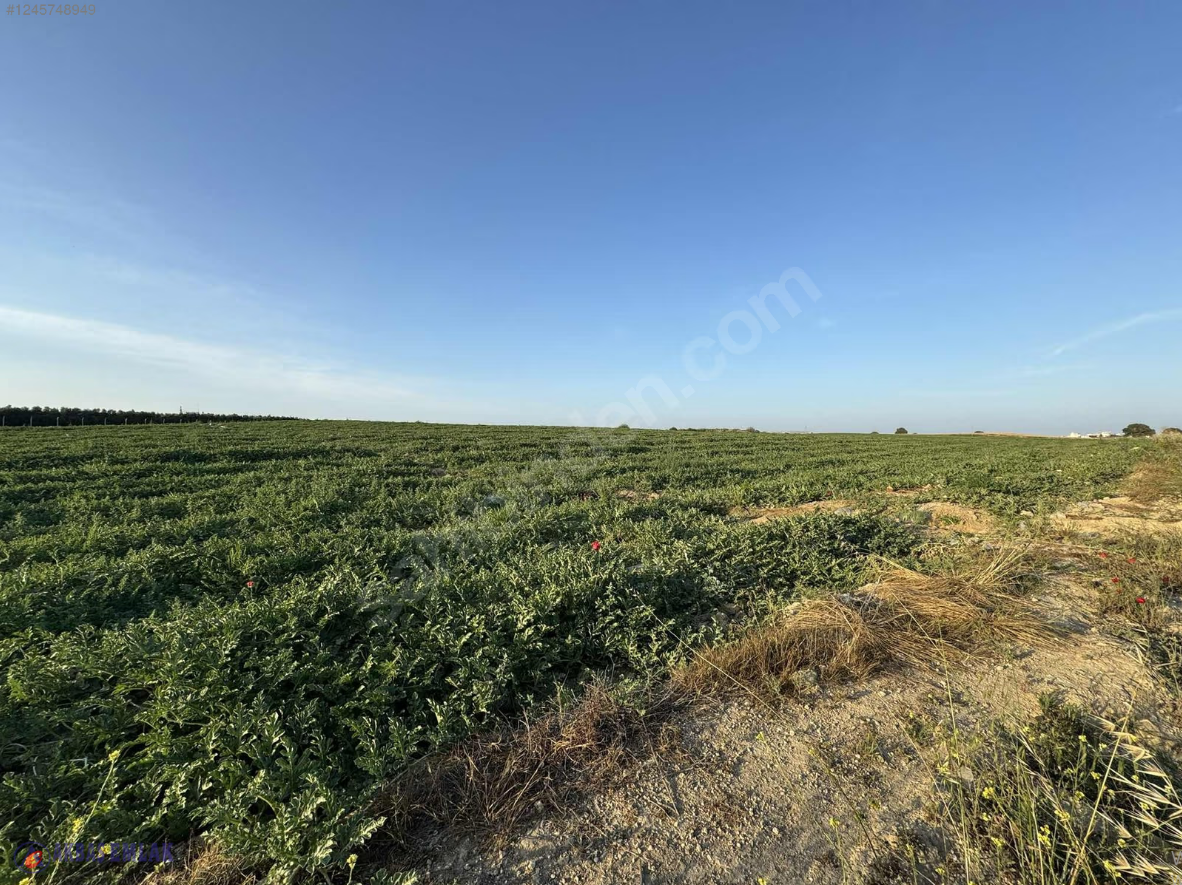 AKBAŞ'tan SATILIK | 8 KATA İMARLI | YATIRIMLIK | TARLA