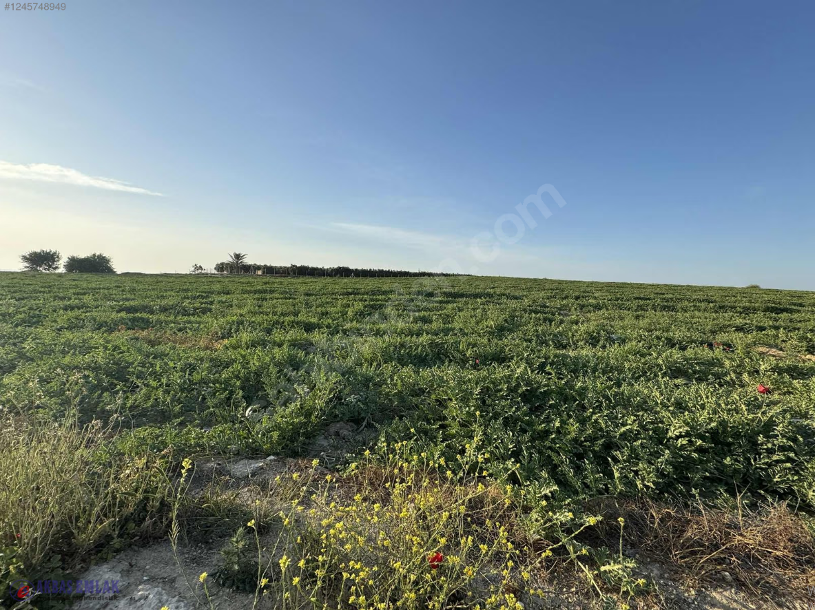 AKBAŞ'tan SATILIK | 8 KATA İMARLI | YATIRIMLIK | TARLA