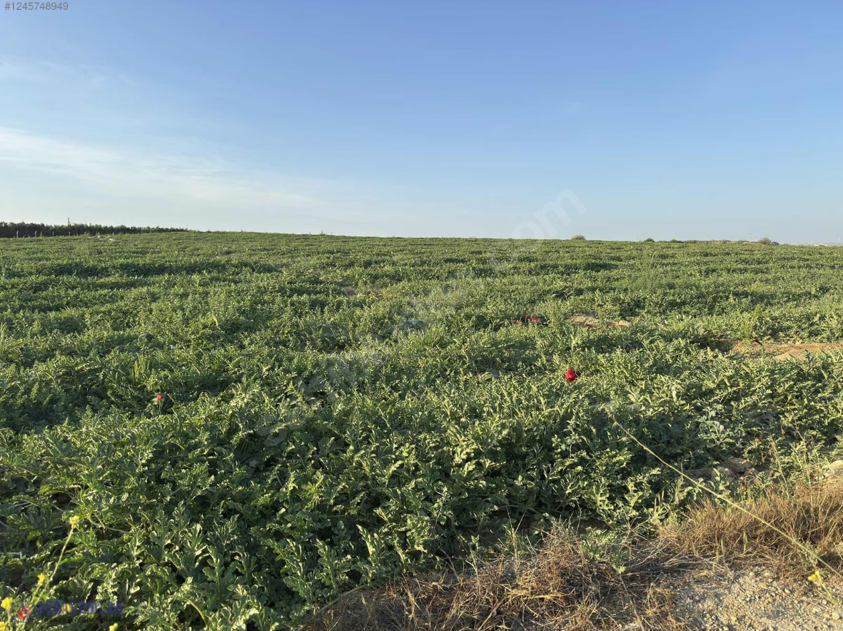 AKBAŞ'tan SATILIK | 8 KATA İMARLI | YATIRIMLIK | TARLA