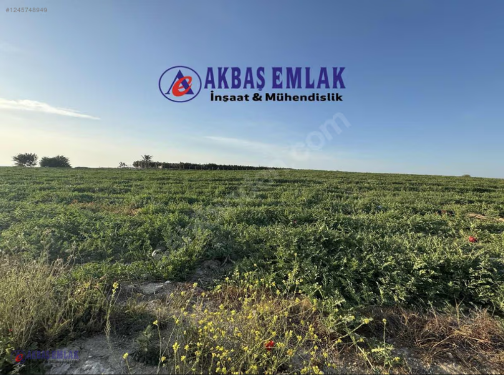 AKBAŞ'tan SATILIK | 8 KATA İMARLI | YATIRIMLIK | TARLA
